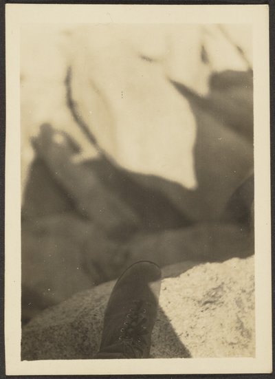  av Louis Fleckenstein