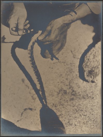  av Louis Fleckenstein