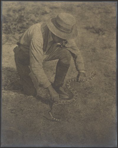  av Louis Fleckenstein
