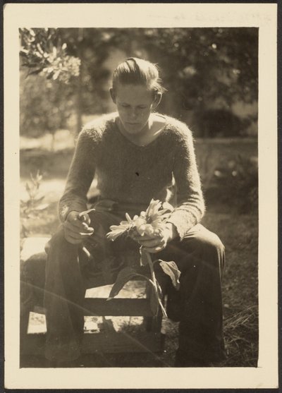  av Louis Fleckenstein