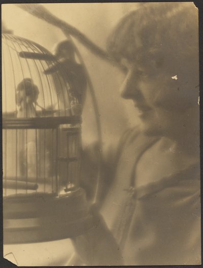  av Louis Fleckenstein