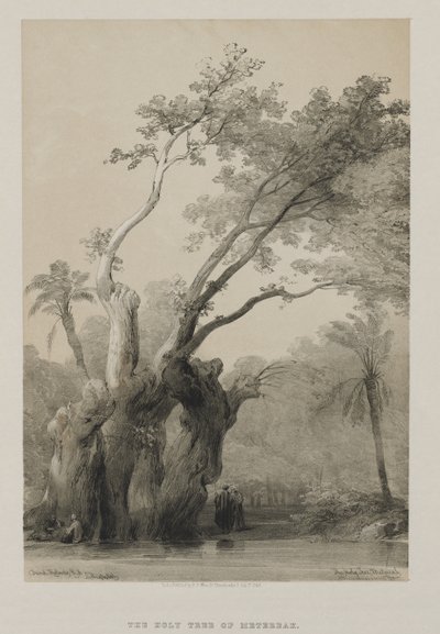 Egypt og Nubia, bind III: The Holy Tree of Metereah, 1849. av Louis Haghe
