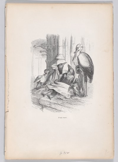 Jeg var enke fra scener fra dyrenes private og offentlige liv, ca. 1837-47. av Louis Henri Brévière