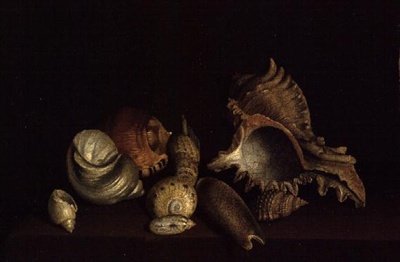 Still Life of Shells on a Ledge, 1600-tallet av Louis Hubner