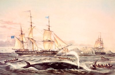 Hvalfangst utenfor Kapp det gode håp av Louis Le Breton