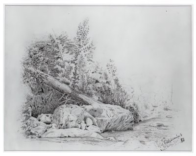 Fallen Tree, Keene Valley, 25. juli 1883. av Louis Michel Eilshemius