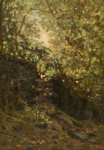 Natt gjennom skogen, 1889. av Louis Michel Eilshemius