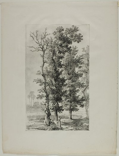 Studie av trær av Louis Pierre Baltard