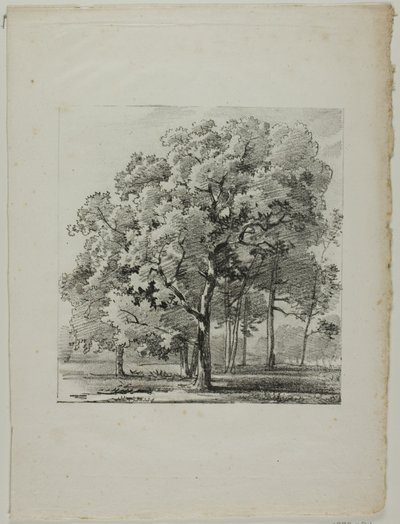 Studie av trær av Louis Pierre Baltard