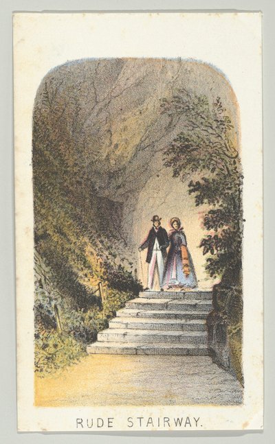 Rude Stairway, fra serien, Views in Central Park, New York, del 2, 1864. av Louis Prang