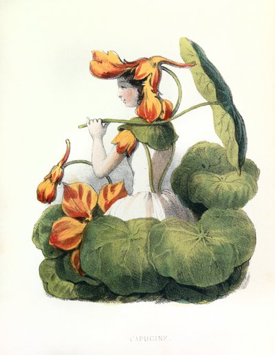 Allegori, Nasturtium av Louis Simon (1810-1870) Lassalle