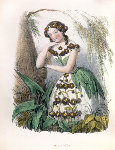 Allegori, Forglemmegei av Louis Simon (1810-1870) Lassalle