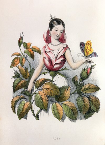 Allegorier, rosene av Louis Simon (1810-1870) Lassalle