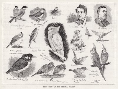 Fugleshow på Crystal Palace (gravering) av Louis Wain