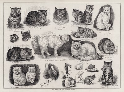 Cat Show på Crystal Palace (gravering) av Louis Wain