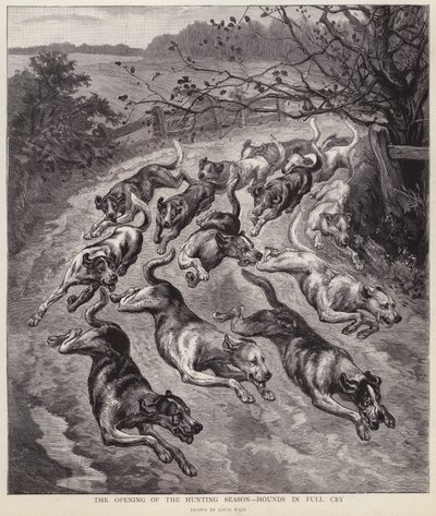 Hunder i full gråt ved starten av jaktsesongen (litho) av Louis Wain