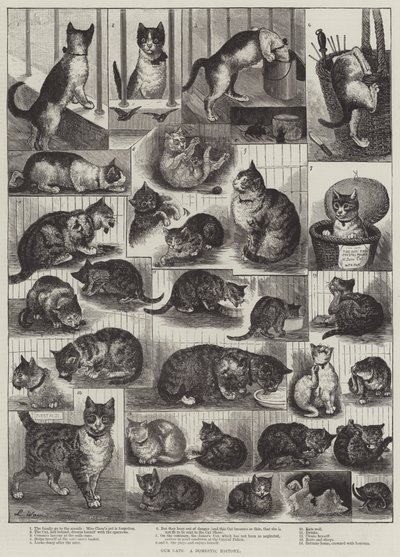 Våre katter, en innenlandshistorie av Louis Wain