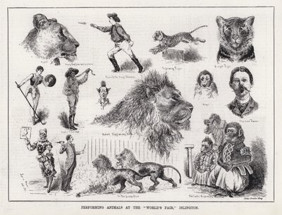 Utøvende dyr på "verdensmessen," Islington (gravering) av Louis Wain