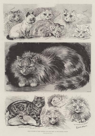 Prisvinnere på National Cat Club Show på Crystal Palace av Louis Wain