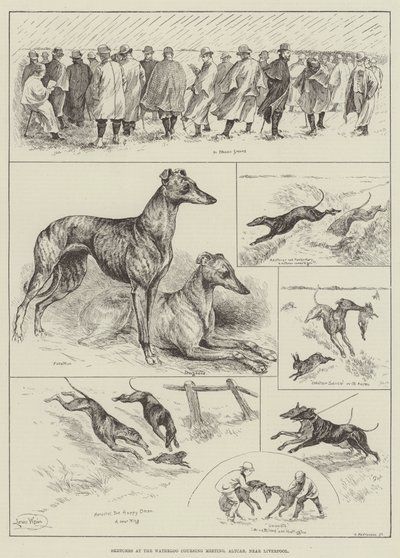 Skisser på Waterloo Coursing Meeting, Altcar, nær Liverpool (gravering) av Louis Wain