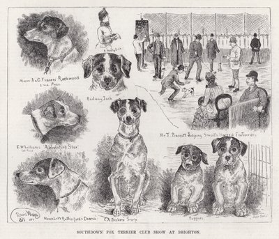 Southdown Fox Terrier Club Show i Brighton (gravering) av Louis Wain