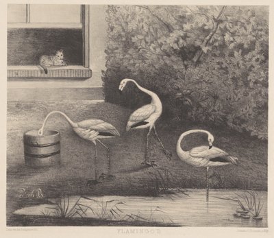 Tre flamingoer og en katt av Louise Marie Françoise van der Beek