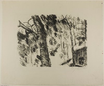 Beech Woods, fra tidlig vår i fjellene av Lovis Corinth