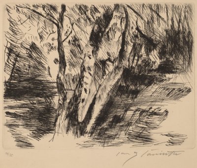 Bjørketrær i Tiergarten, 1920-1921. av Lovis Corinth