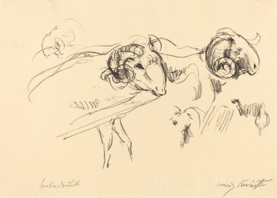 Schafböcke (Rams) av Lovis Corinth