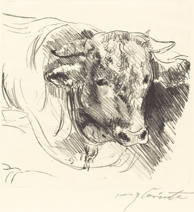 Stierkopf Head of a Steer, 1912. av Lovis Corinth