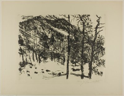 The Valley, fra tidlig vår i fjellene av Lovis Corinth
