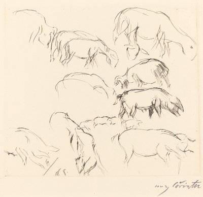 Ulike dyrestudier Animal Studies, 1917. av Lovis Corinth