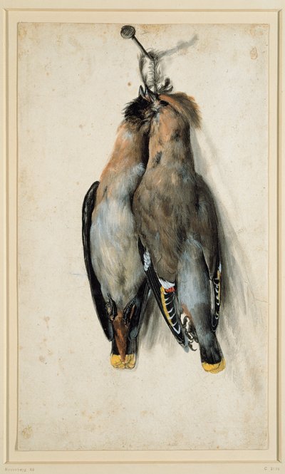 To døde bohemske vokser av Lucas Cranach the Elder