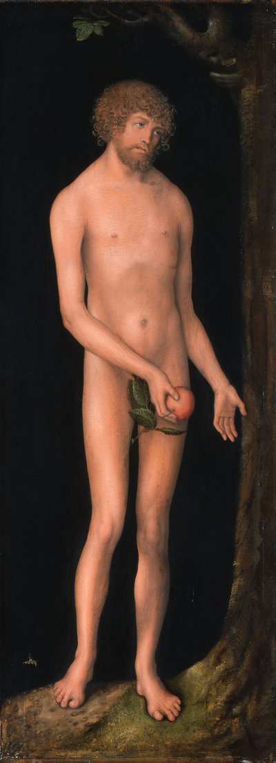 Tysk: Adam Adam av Lucas Cranach the Elder