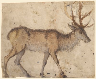  av Lucas Cranach the Elder