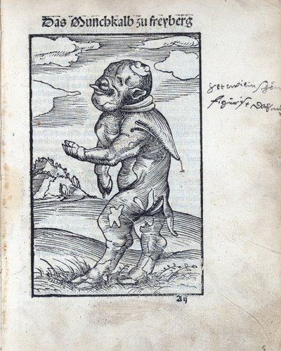 Munkekalv av Freiberg (Das Moenchkalb zu Freiberg), av Cranach, Lucas, den eldste (1472-1553). tresnitt av Lucas the Elder Cranach