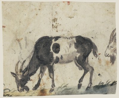 Study of Goats (verso), ca. 1520-30 (pensel med svart, grå, grønn vask og svart kritt) av Lucas the Elder Cranach