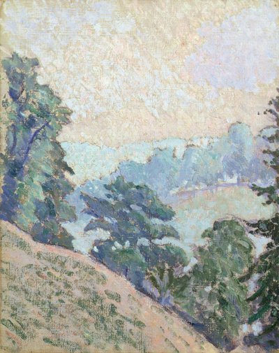Brookleton Dale, Youlgrave, Derbyshire av Lucien Pissarro