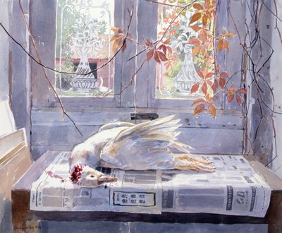 Sommer (A Gander