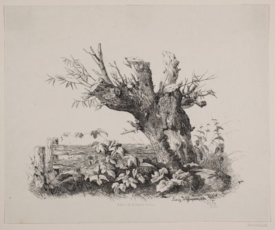 Ved et gjerde av Ludvig Messmann