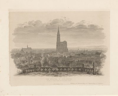 Portrett av katedralen i Straatsburg Minsteren i Strasbourg sett fra det østlige tårnet til Thomas-kirken (tittel på objekt) av Ludwig Friedrich Schnell