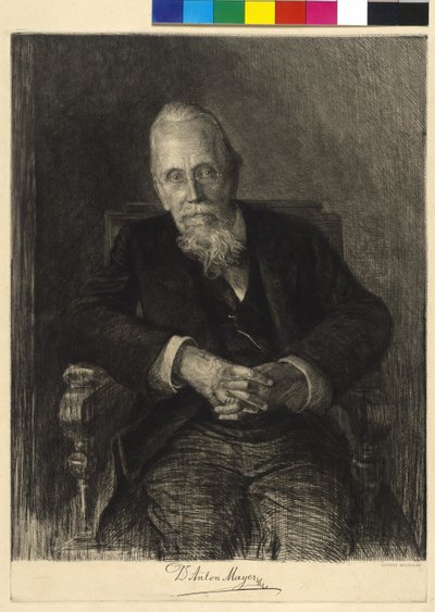 av Ludwig Michalek