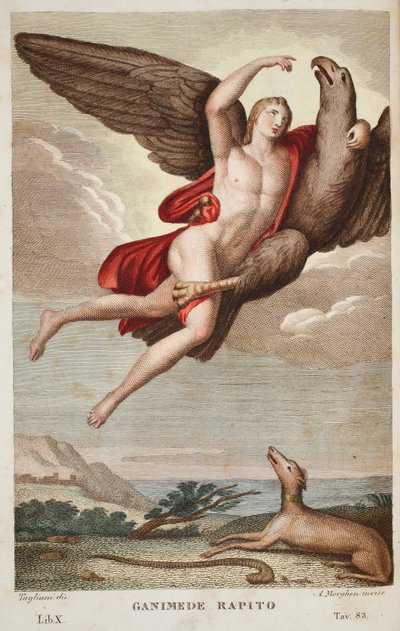 Ganymedes ført inn i himmelen eller Ganimede Rapito, bok X, illustrasjon fra Ovids Metamorphoses, Firenze, 1832 (håndfarget gravering) av Luigi Ademollo