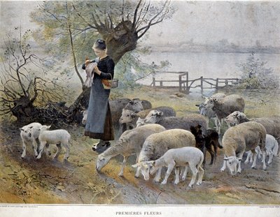 First Flowers: En gjeterinne omgitt av sauene sine stikker blomster i hatten hennes - av Chialiva av Luigi Chialiva