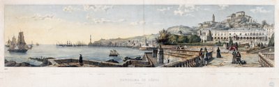 Panoramautsikt over byen Genova (litografi av Luigi Garibbo