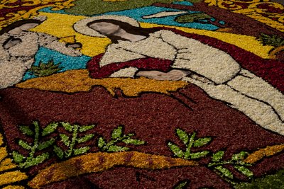 Holy Week Surco Flower Carpet, Lima, Peru, 2015. av Luis Rosendo.