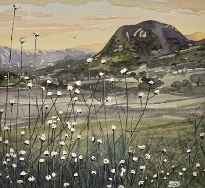  av Luisa Millicent