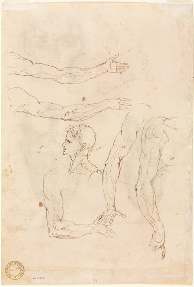 Skisser av fem armer og et hode (verso) av Luzio Romano