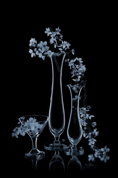 Blå blomster i glassvaser av Lydia Jacobs