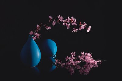 Kirsebærblomster og blå vaser av Lydia Jacobs
